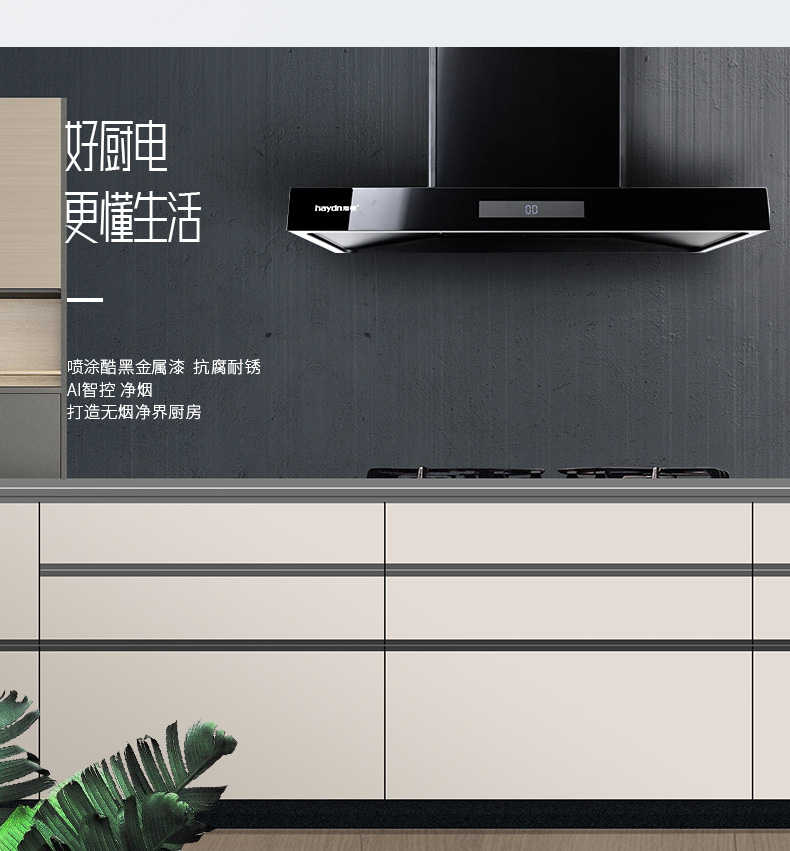 煙機--T218_10.jpg